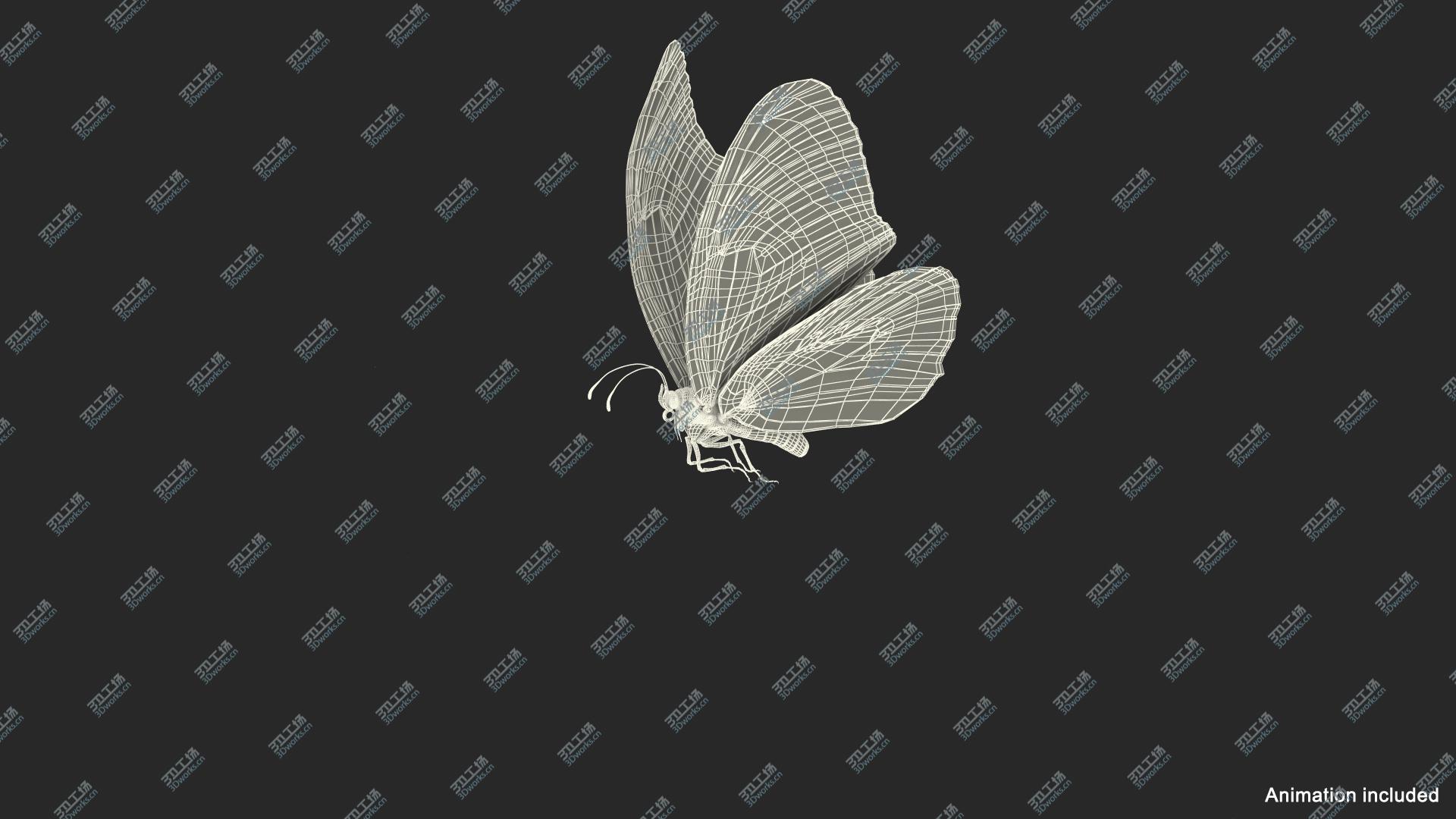 images/goods_img/20210319/Animated Flying Monarch Butterfly Fur Rigged 3D/5.jpg